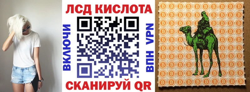 купить  цена  shop какой сайт  Марки N-bome 1,5мг  Боготол 