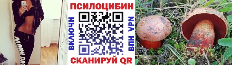 Псилоцибиновые грибы Magic Shrooms  купить наркотики цена  Боготол 